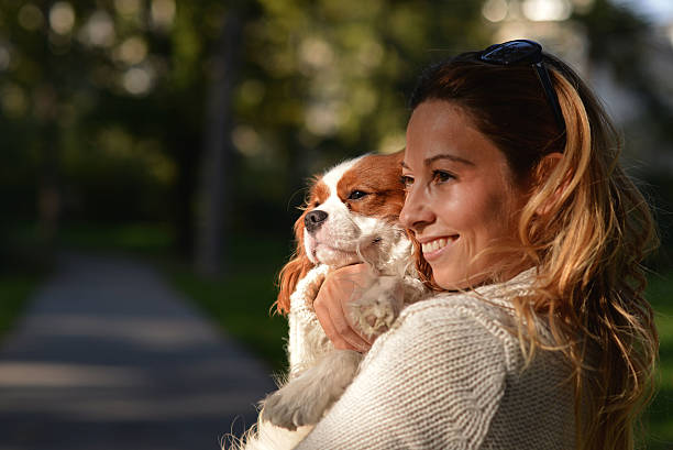 Pretty girl is holding her dog Cavalier King Charles Spaniel and smiling. They are in the park and the sun is shining on them